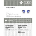 Load image into Gallery viewer, TANZANITE EARINGS