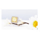 Cushion Fancy Yellow Diamond Ring Cushion Fancy Yellow Diamond Ring