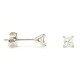 Princess Cut Diamond Earrings - B15563