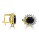 Diana design earrings-B05260