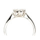 Day Dreamer diamond ring