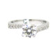 Apple of my Eyes Solitaire ring-cad129